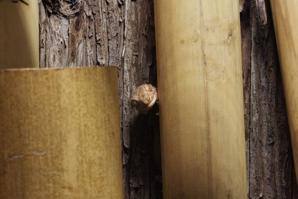 découvrez le concept de dissimulation et ses différentes applications pour protéger votre vie privée et vos informations sensibles.