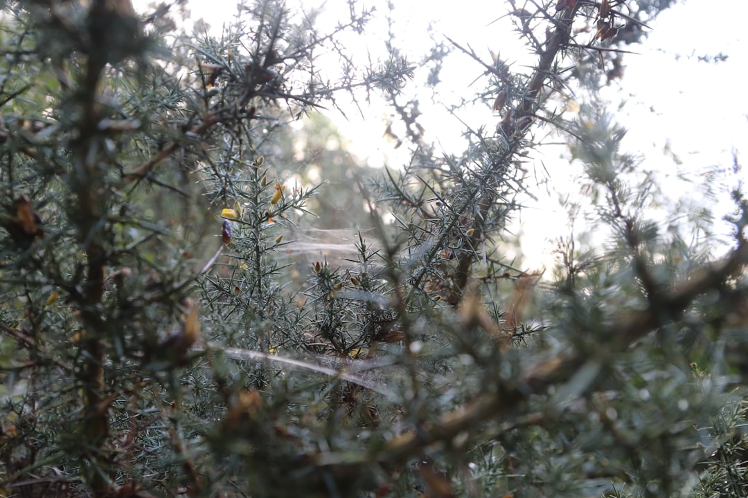 découvrez comment la transformation web peut révolutionner votre présence en ligne, améliorer l'expérience utilisateur et booster la performance digitale de votre entreprise.