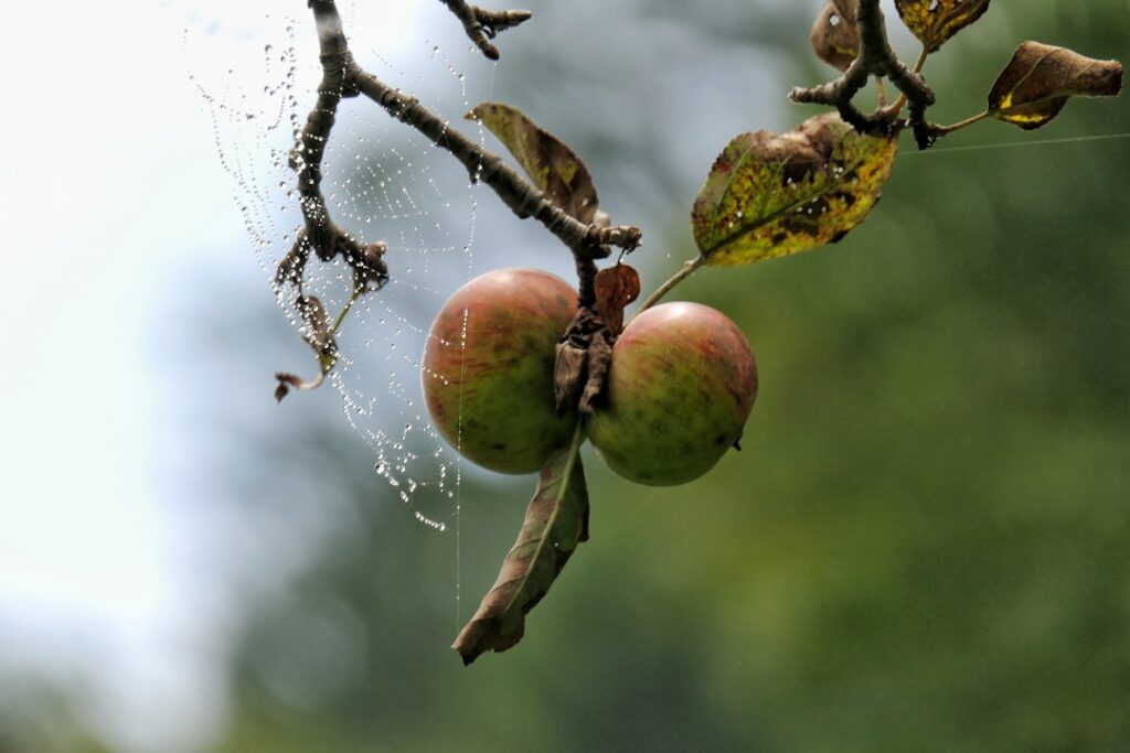 découvrez comment la transformation digitale révolutionne les entreprises grâce à des stratégies innovantes et des technologies avancées pour optimiser leur performance.